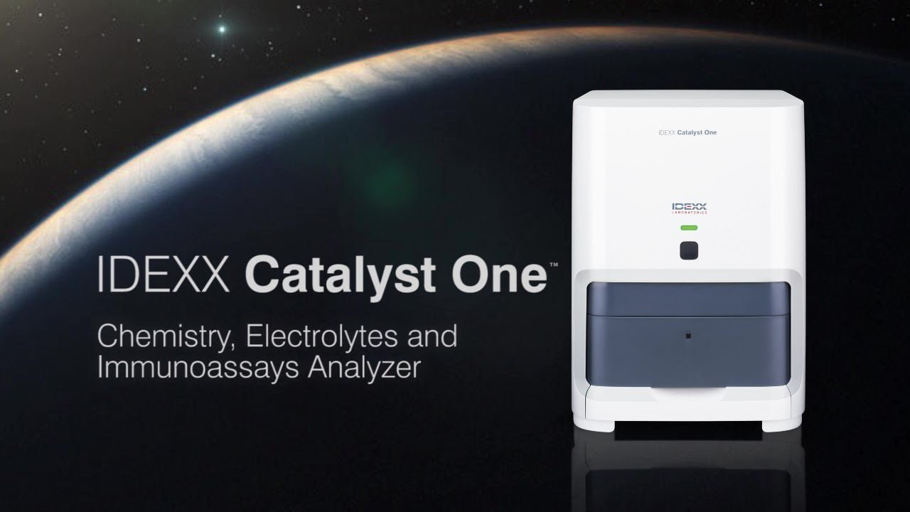 IDEXX CATALYST (혈청 화학 검사 장비)
